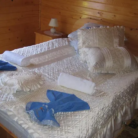 Maison d'hôtes Bran Ioana& Bran (Brasov)